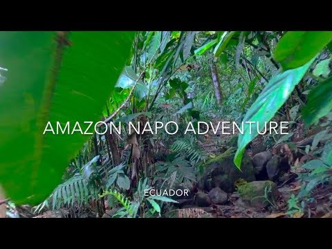 Amazon Napo Adventure - Rebecca Adventure Travel