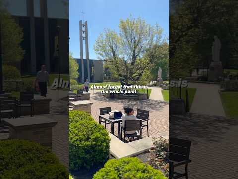 Living Life At The Mount