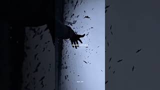 HADAL AHBEK – Issam Alnajjar Lyrics #edit Lyrics #hadalahbek