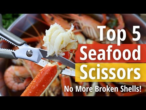 Top 5 best seafood scissors tool review (Hidden Gem) smart buyers choose in 2026