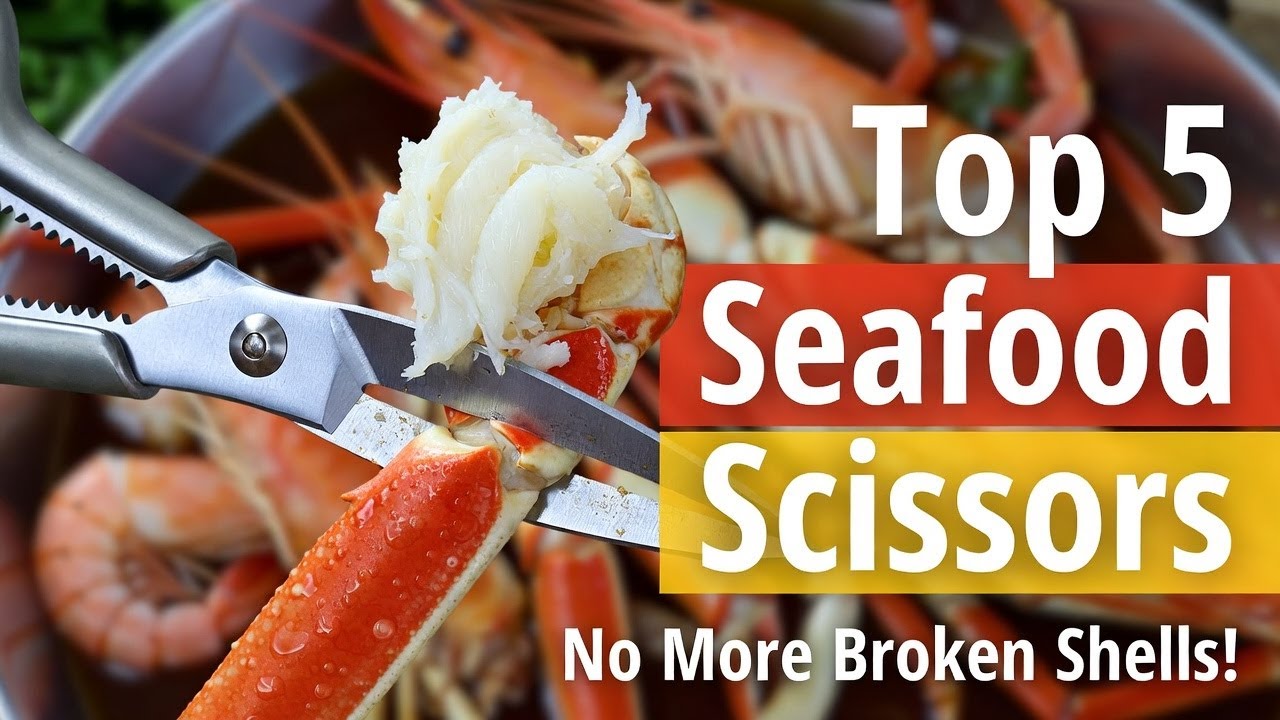 Top 5 best seafood scissors tool review (Hidden Gem) smart buyers choose in 2026