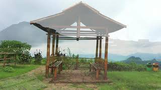 Malino Highlands Ditengah Pandemi Covid-19 Kebun Teh Malino