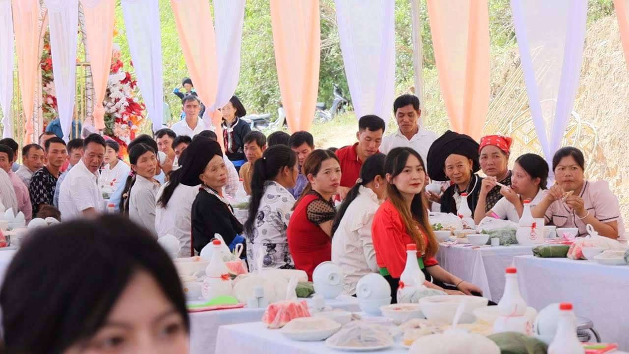 Nhiều gái xinh trong đám cưới