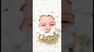 Max Sweets - Honig Marschmallow