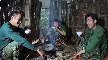 #212. Trú ẩn trong rừng mưa nhiệt đới, cuộc sống tự nhiên