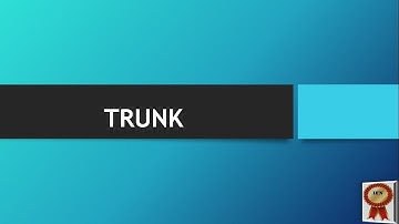 How to configure trunk port in cisco switch