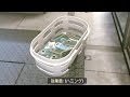 置いてあるクレジットをバレないように盗む方法 [STARFIELD]
