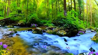 relaxation and fokus ASMR / River and bird sounds for calm mind