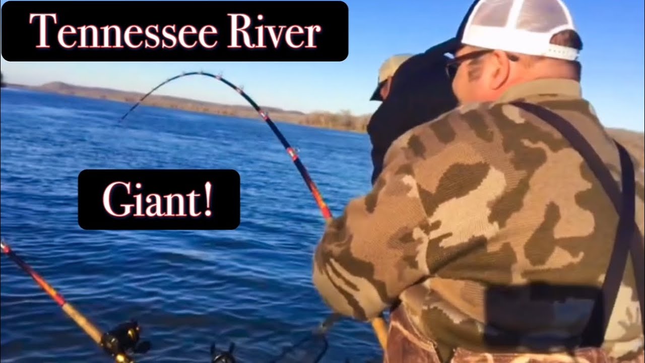 Catfishing On The Tennessee River And Caught A Massive Blue Catfish!!!