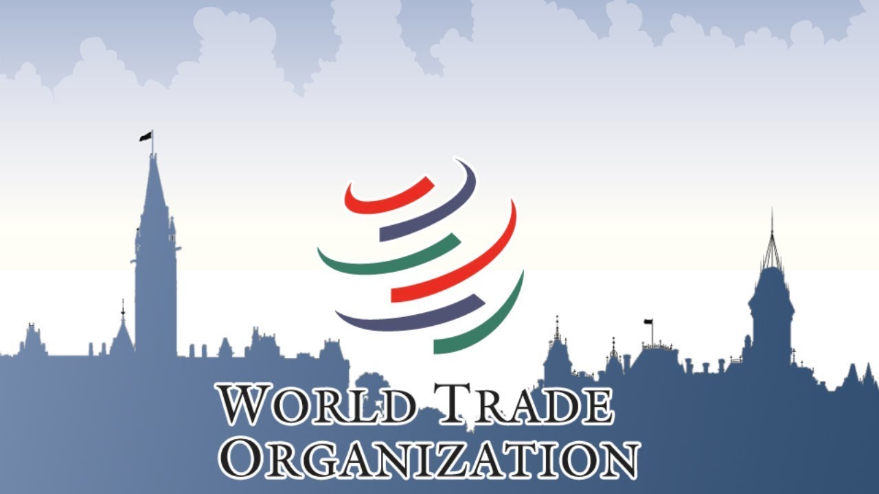WTO reform talks sans China, US