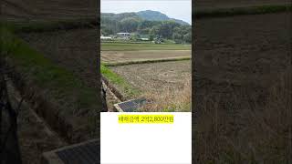 [매매] 횡성군 횡성읍 정암리, 하천이 바로 옆에 있고 통행로 잘 되어 있는 투자 가치 높은 토지 3필지 일괄 매매 [54]