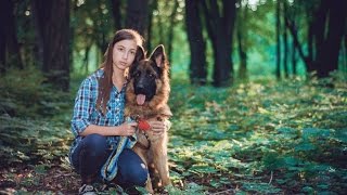 (097 91 28 747 ) Яна, фотограф,Кривой Рог, подготовка собак к выставке (097 91 28 747 ) Яна, фотограф,Кривой Рог, подготовка собак к выставке