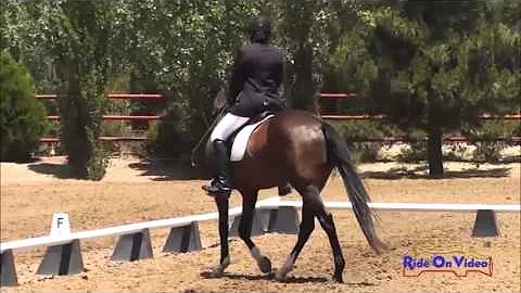 102D Danielle Madsen JR Training Rider Dressage Co...