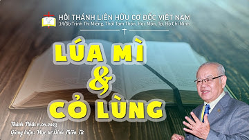 LÚA MÌ & CỎ LÙNG || MỤC SƯ ĐINH THIÊN TỨ @congbophucam