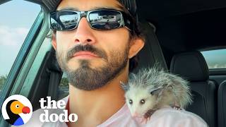 mma fighter stops his bike tiny opossum road dodo
