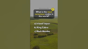 Animals Trivia Quiz Game. #quiz #quizgame