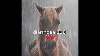 my participation in the worst 808s (satire do not click)