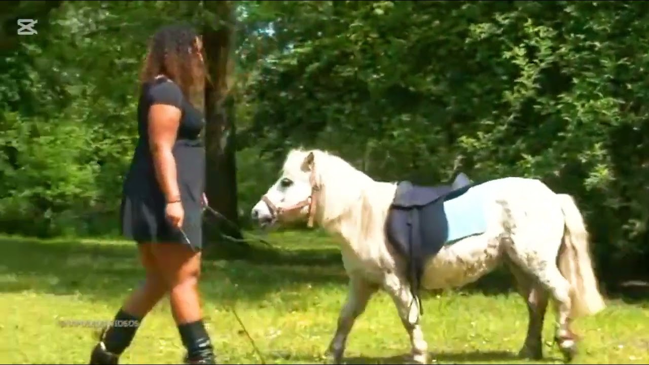 Small pony riding 