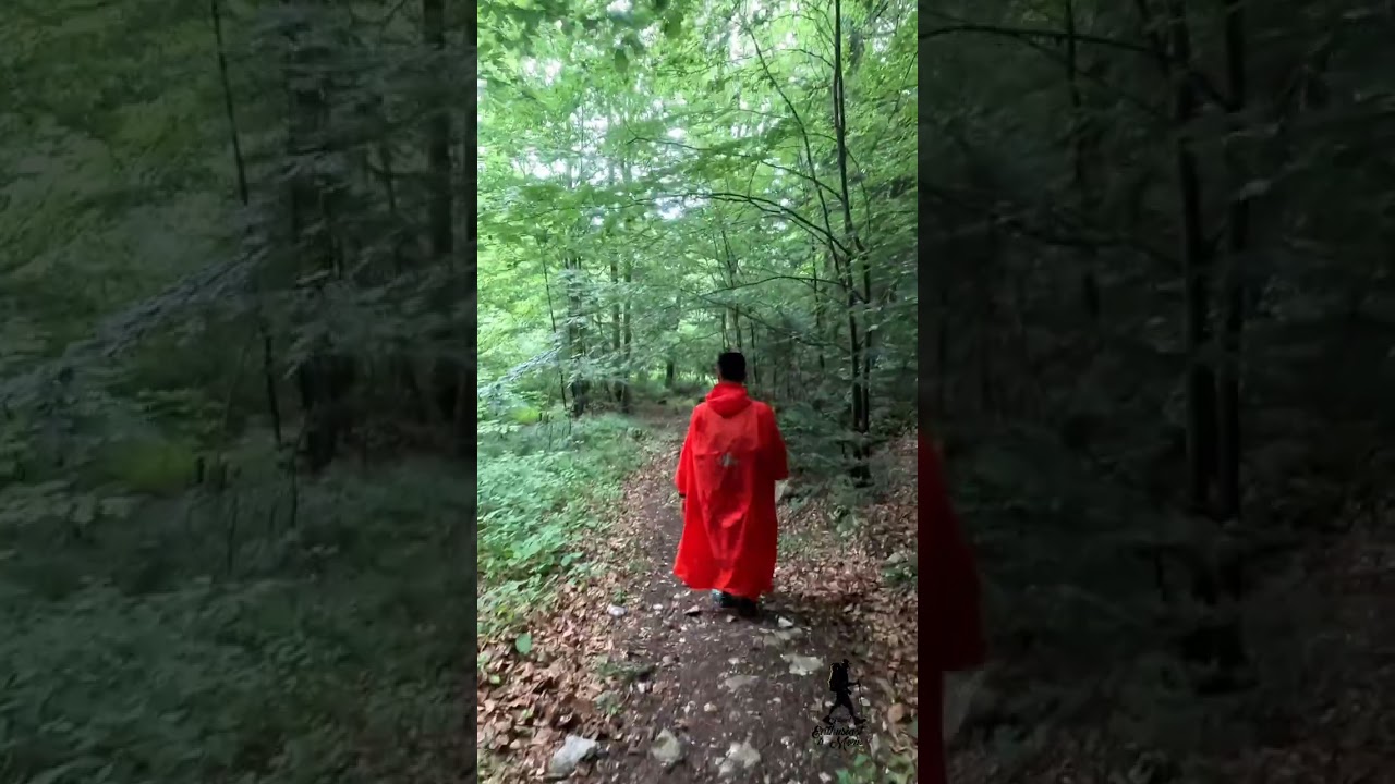 Trekking from Turnul Peak to Zărnești via Padina Hotarelor | Scenic Adventure Reel 