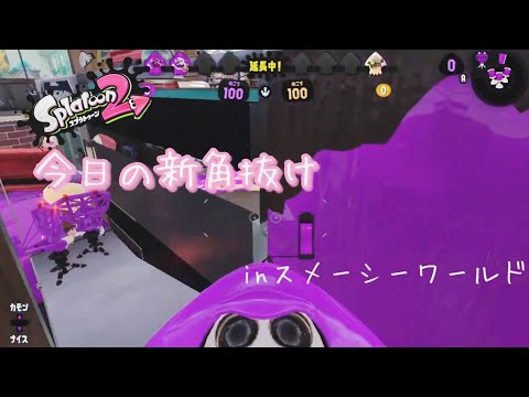 【スプラトゥーン2バグ】今日の新角抜け！！inスメーシーワールド