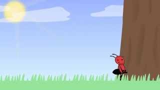 ANT.MP4