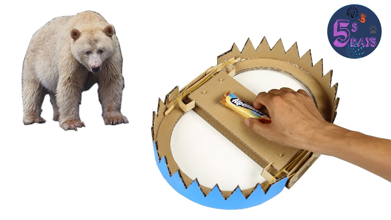 DIY a trap from Cardboard [Crazy ideas]