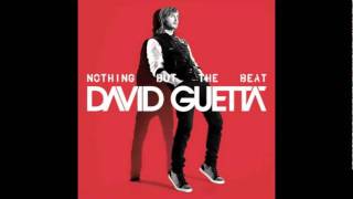 David Guetta   Glasgow nothing But The Beat
