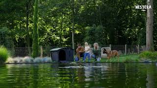 Nestera Duck and Goose house - recycled plastic