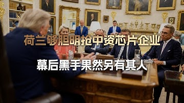 不出中国所料：荷兰够胆明抢中资芯片企业，幕后黑手果然另有其人