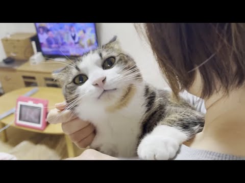 背中に乗ってスリスリ、ペロペロやりたい放題の猫