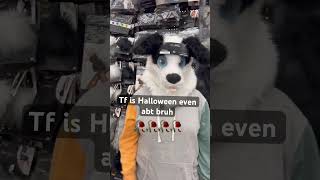 Tf is Halloween even about #ias #chihuahua #furry #memes #funny Tf is Halloween even about #ias #chihuahua #furry #memes #funny