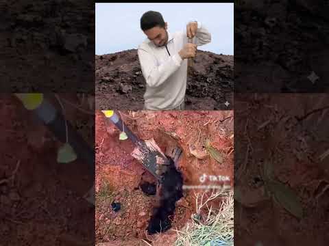 This is how I became rich🤑