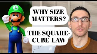 The SQUARE-CUBE LAW: How big can things be 🐳  and why size matters?
