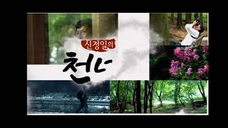 ubc 신정일의 천년의 길 ED + SBS NEXT - SBS 오뉴스
