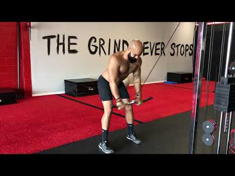 Straight Arm Pulldown