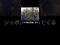 諸行無常 川口浩 水曜スペシャル