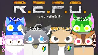 【Vtuber ぬめゲコらいふ】コラボ  ビギナーさん達を護衛しよう！〔R.E.P.O.〕