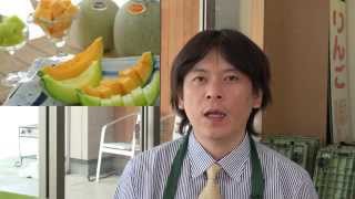 お中元 お歳暮のご用命は果物ギフト専門店　浜中屋のご紹介　fruit store Hamanakaya  in Japan