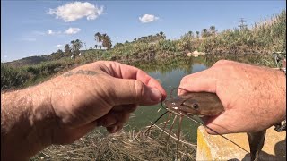 Рыбалка 30 09 2023. Израиль. Fishing 30.09. 2023. Israel.