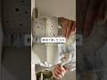 #youtubeshorts #vlog ソウルで愛犬とすごす休日 서울에서 강아지랑 지내는 휴일