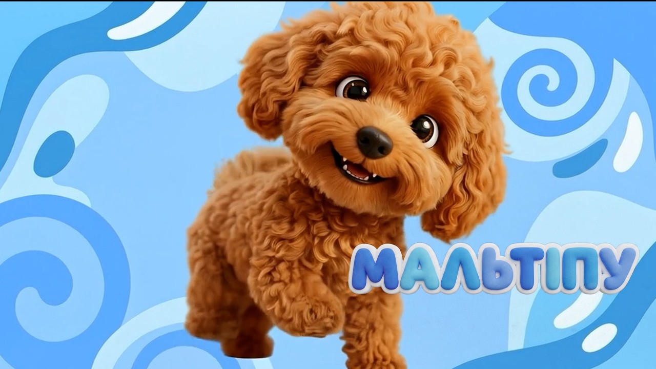 ЗБІРКА – ПЕСИК МАЛЬТІПУ – Пісні для Дітей   Тралялятко