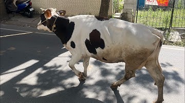 8.17 7-Simul Flip ASR Clock Single