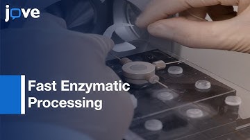 Fast Enzymatic Processing-Proteins: MS Detection With Flow-Through Microreactor l Protocol Preview