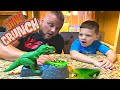 Caleb plays dino crunch family fun game for kids with daddy dinosaur toy for kids