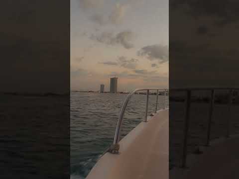 كلينا في الهوا سوا من حيره لحيره