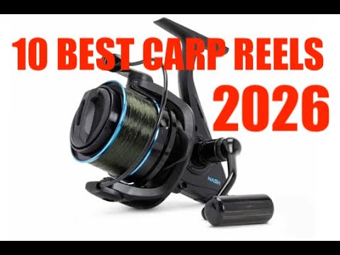 10 BEST CARP REELS IN 2026