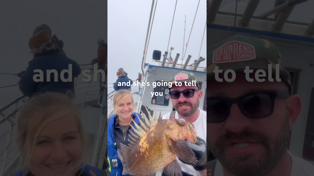 Quill Back Fact #fishing #sea #saltlife #shorts