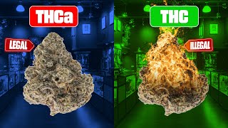 Thc Vs Thca Whats The Difference?