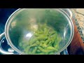 Easy Edamame Recipe | Step-by-Step Guide to Cooking Green Soybeans