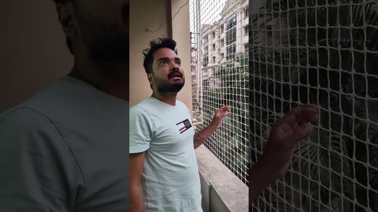 #pigeonnetting  #pigeonnets #safetynets #antibirdnet #cricketnets #sparrow Phone 8074616049
